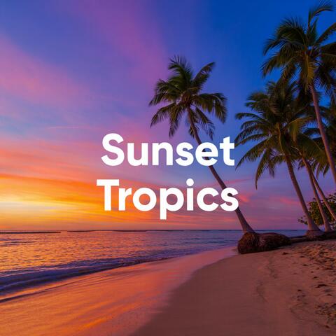 Sunset Tropics