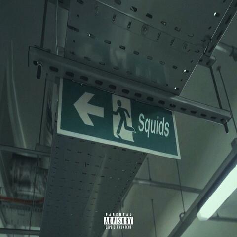 Squids