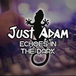 Echoes in the Dark