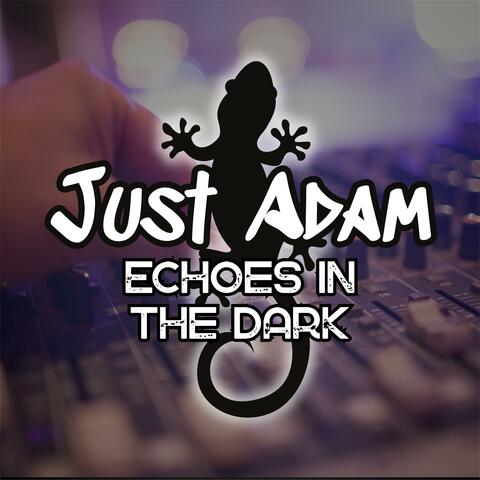 Echoes in the Dark
