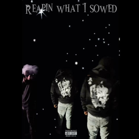 Seperation anxiety (Clear)