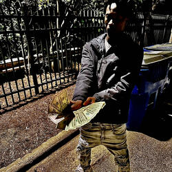 Lxve 4 Bsmakk free G2