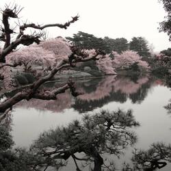 flavourz (feat. skrppsoul)