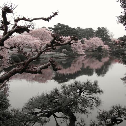 flavourz (feat. skrppsoul)