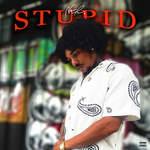STUPID
