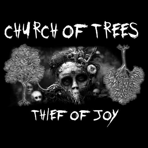 Thief of Joy