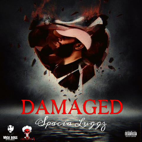 DAMAGED (Special Version)
