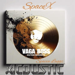 SpaceX (Acoustic Version)