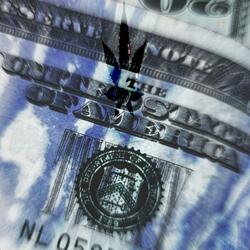 Weko x $evy // SATURDAY