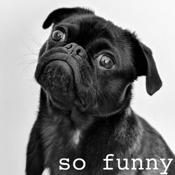 So Funny