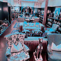 Designer Hotti