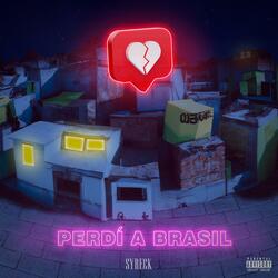 Perdi a Brasil