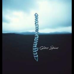 Glass Spine