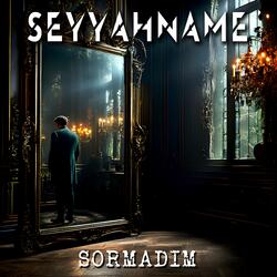 Sormadım