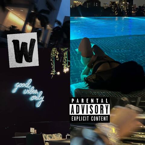 Music & Viibes The Album