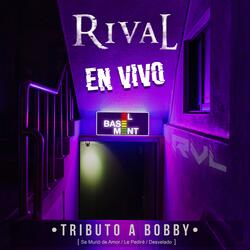 Tributo A Bobby (Se Murió de Amor / Le Pediré / Desvelado)