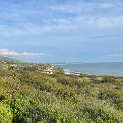 Malibu girl