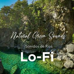 lofi sonidos de río en el bosque
