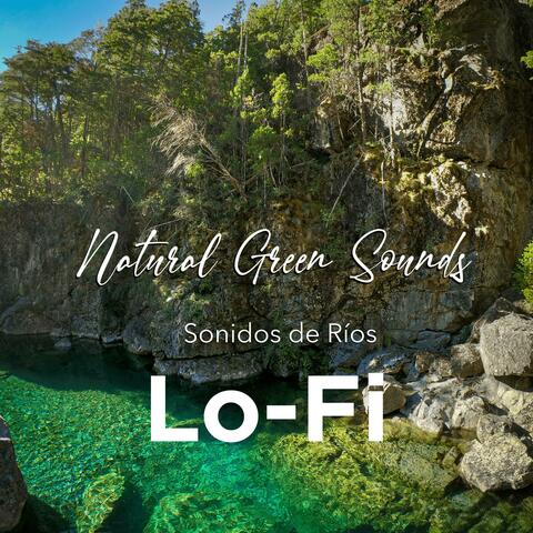 lofi sonidos de río en el bosque
