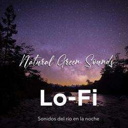 lofi sonidos de rio en la noche con grillos