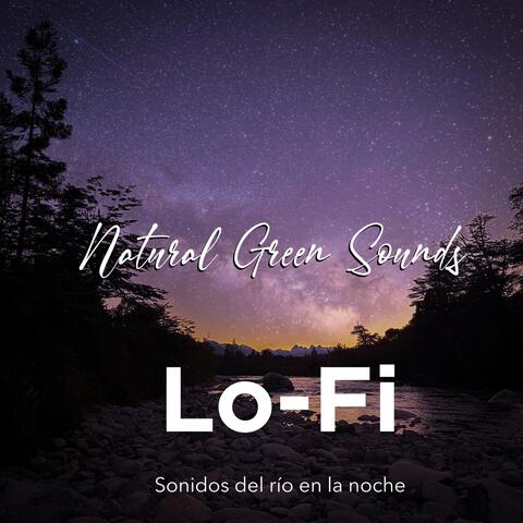 lofi sonidos de rio en la noche con grillos