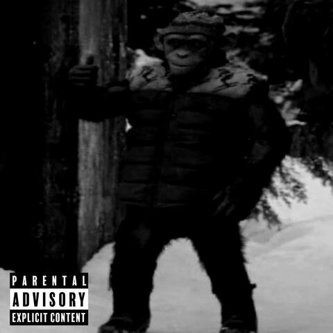 SCREAM 4 BAD APE