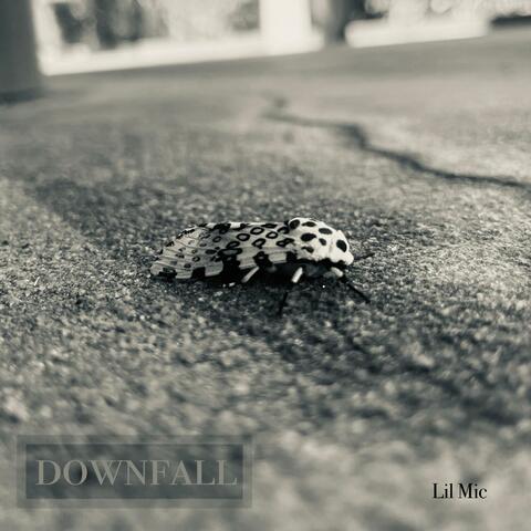 DOWNFALL