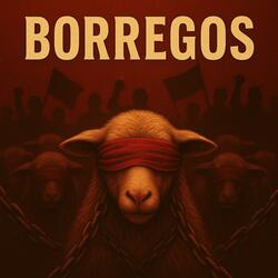 Borregos