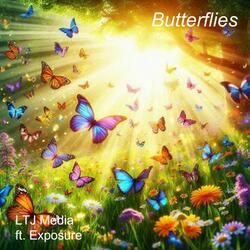 Butterflies