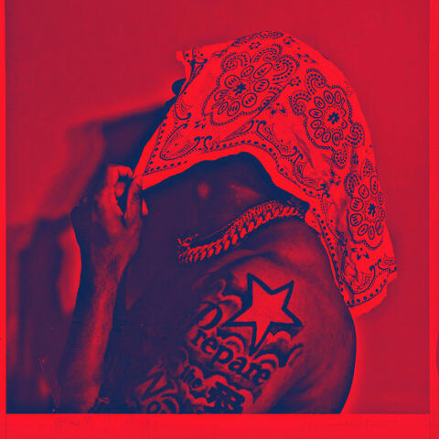 UNANIMOUS DECISION DELUXE