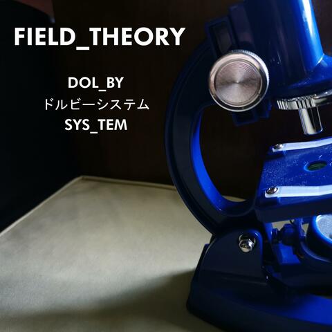 Field Theory