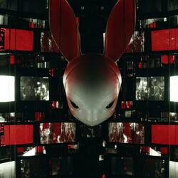 Rabbit Holes