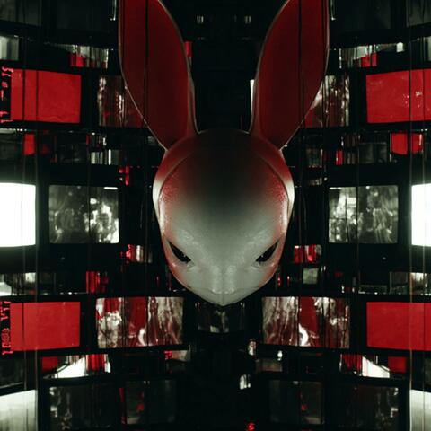 Rabbit Holes