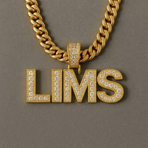 LILMS__Niger that died for the streets (Radio Edit)