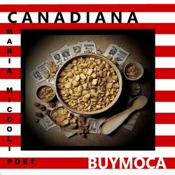 Homeless Canadiana (Version 3)