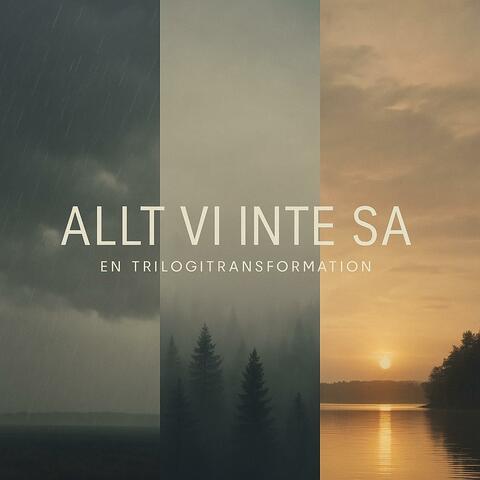 ALLT VI INTE SA