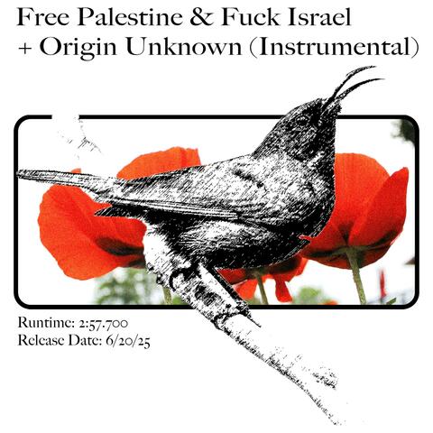 Free Palestine/Origin Unknown