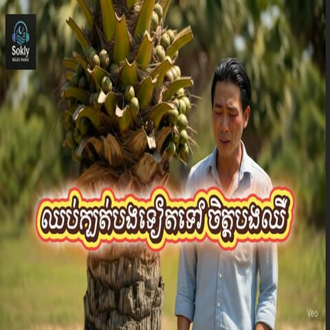 ឈប់ក្បត់បងទៀតទៅ ចិត្តបងឈឺ-Music Ai