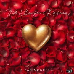 From Rio With Love (remix)