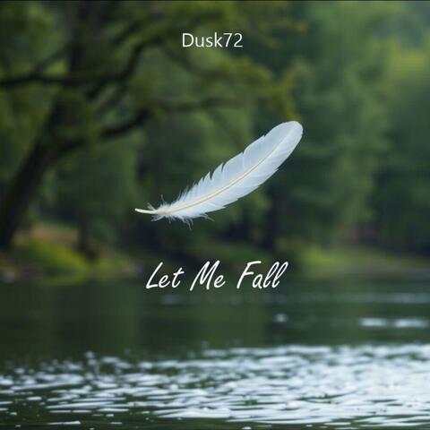 Let Me Fall