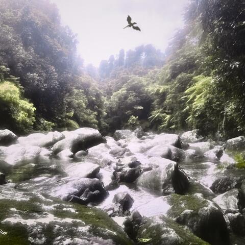 Yunque