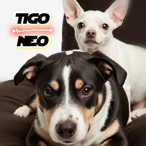 Tigo & Neo (Korean Edition)