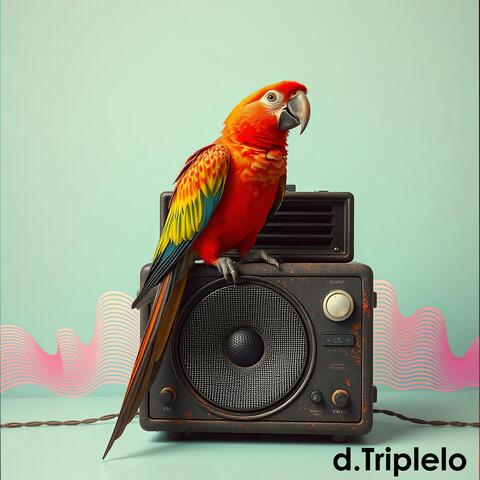 Sọ̀rọ̀ Sókè (Speak Up)