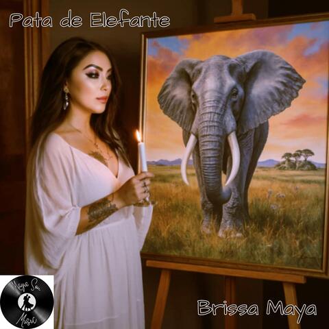 Pata de Elefante