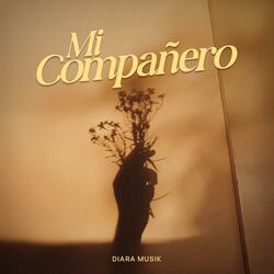 Mi compañero