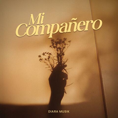 Mi compañero