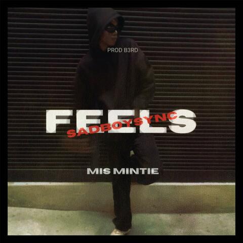 Feels (feat. MIS MINTIE)
