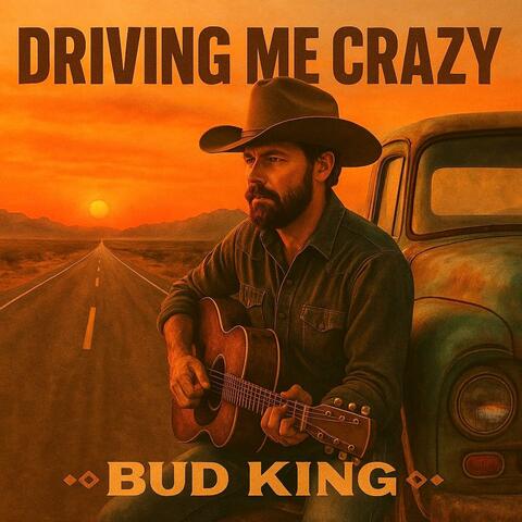 Driving Me Crazy