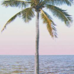 SUMMAH LUH GYAL