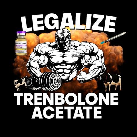 Attack On Titan-Hardstyle (Phunk)